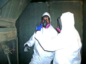 duct cleaning staff